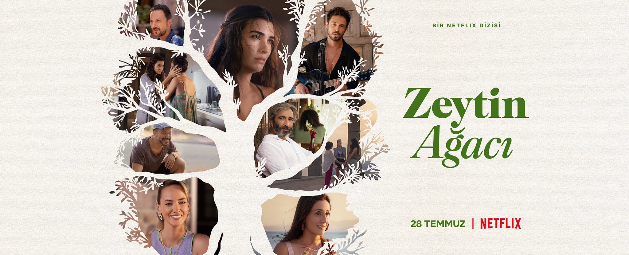 Zeytin Ağacı